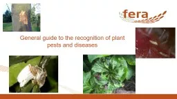 General guide to the recognition of plant pests and diseases