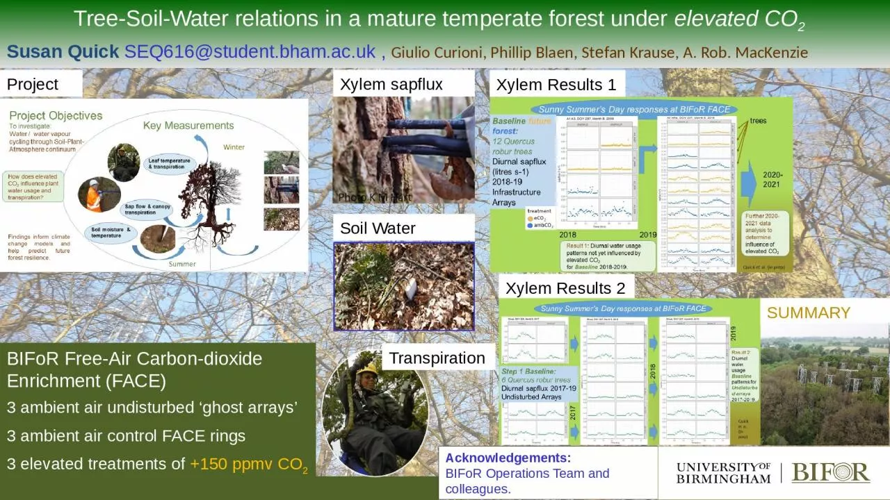 Tree-Soil-Water relations
