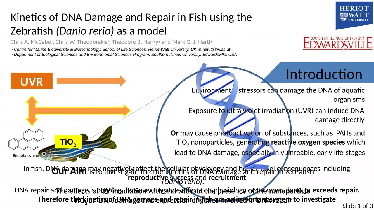Kinetics of DNA Damage and Repair in Fish using the Zebrafish