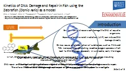 Kinetics of DNA Damage and Repair in Fish using the Zebrafish