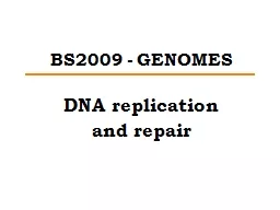 BS2009 - GENOMES DNA replication and repair