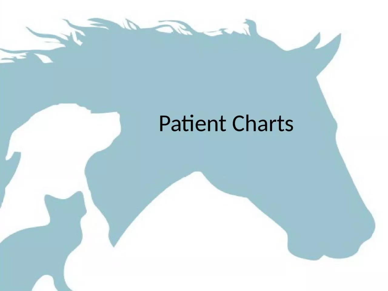 Patient Charts Objective