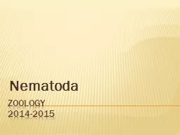 Zoology 2015 Nematoda Phylum Nematoda