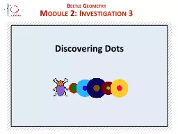 Discovering Dots Beetle Geometry