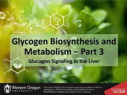 Glycogen Biosynthesis and Metabolism – Part 3