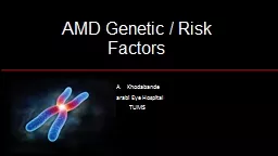 AMD Genetic / Risk Factors