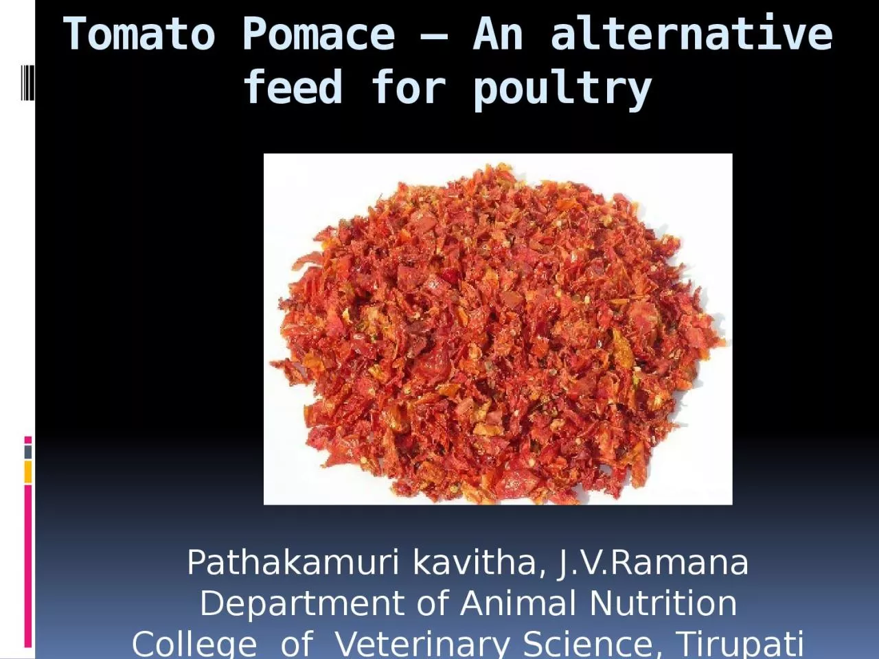 Tomato Pomace – An alternative feed for poultry