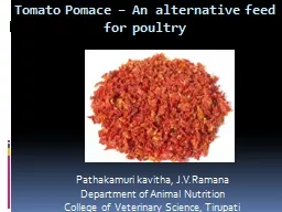 Tomato Pomace – An alternative feed for poultry