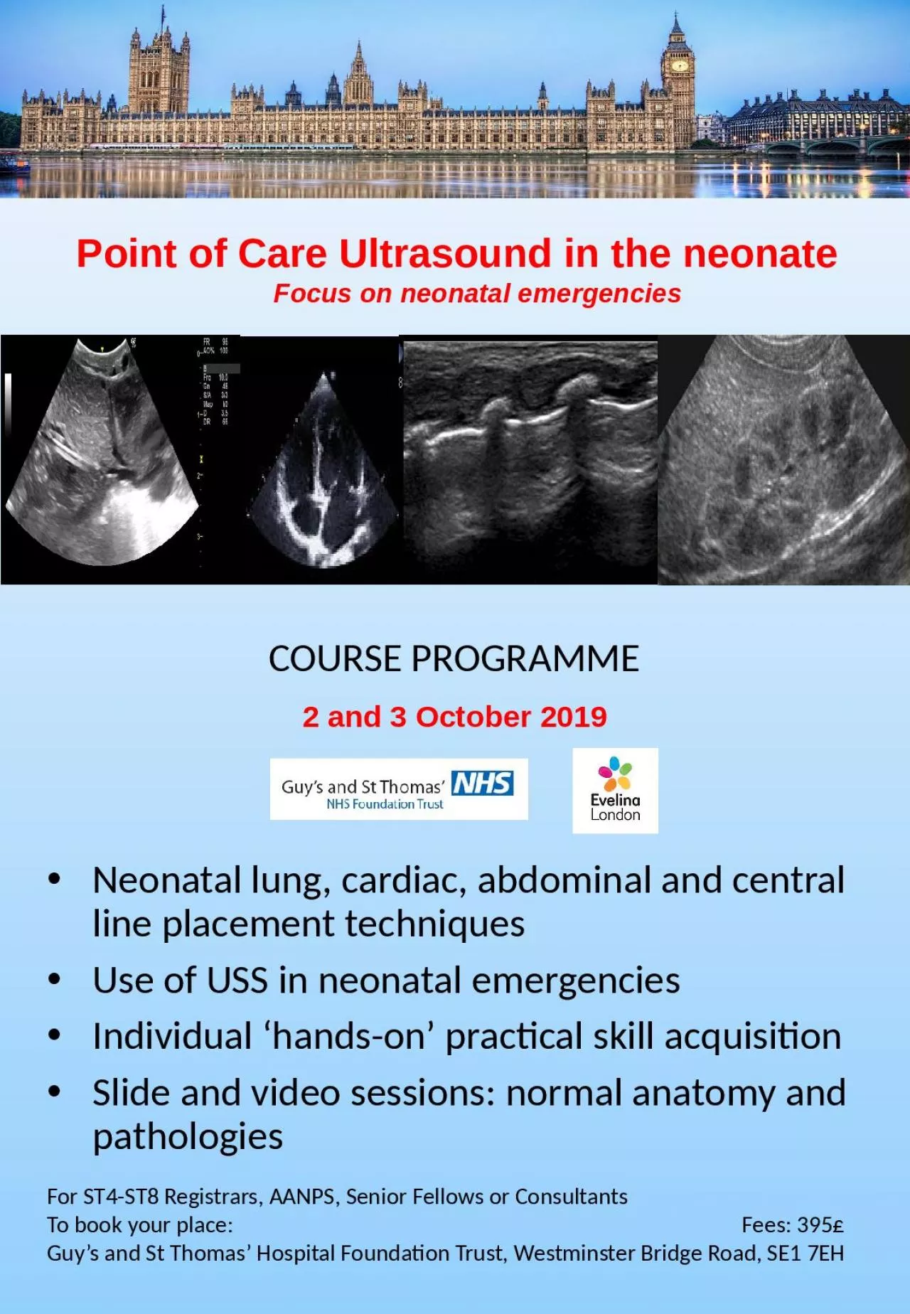 Point of Care Ultrasound in the neonate