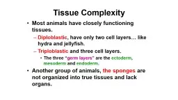 Tissue Complexity Most  animals have