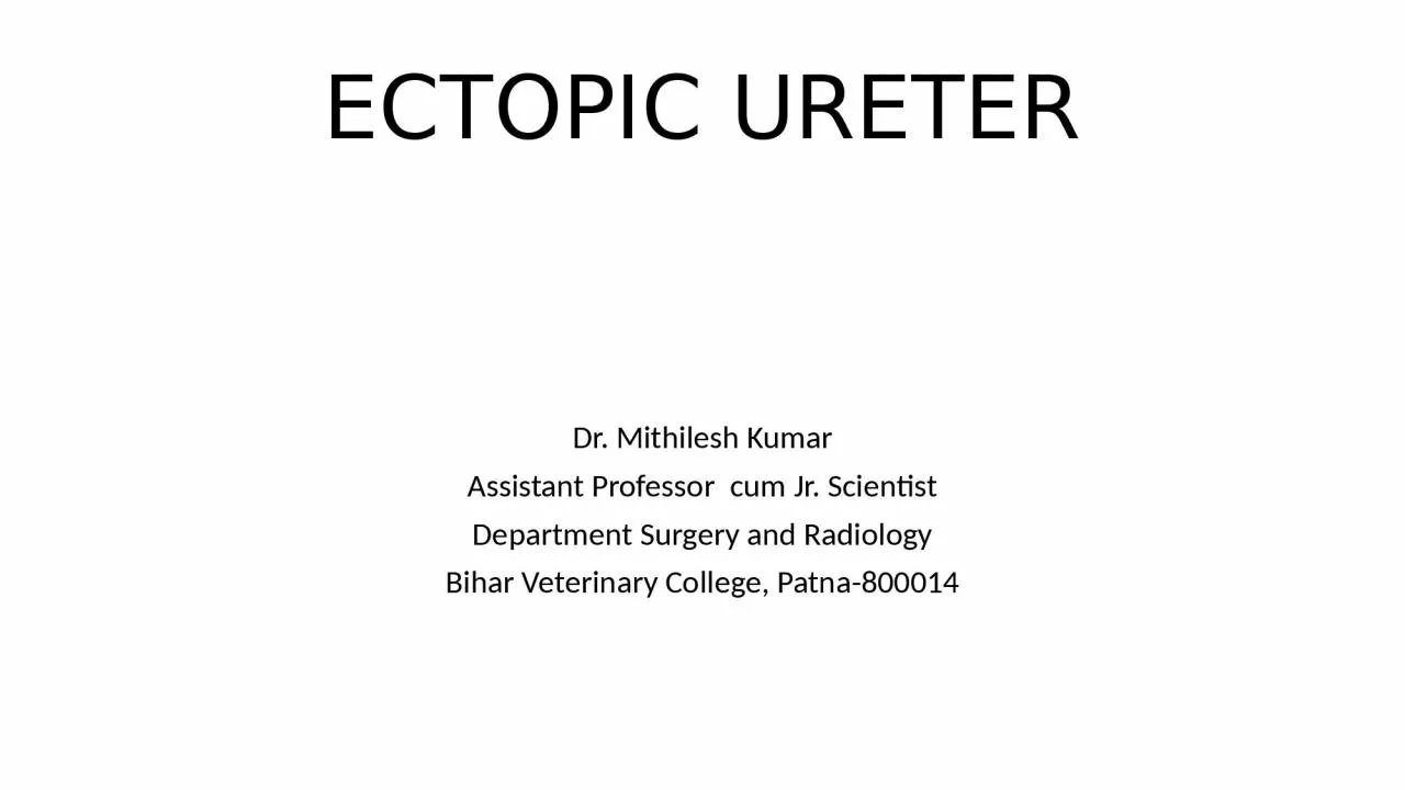 ECTOPIC URETER Dr. Mithilesh Kumar