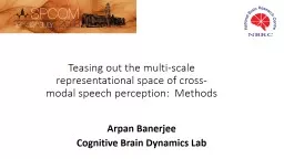 Teasing out the multi-scale representational space of cross-modal speech perception: 
