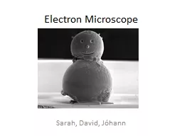 Electron Microscope Sarah, David,