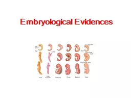 Embryological  Evidences