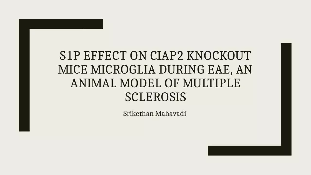 S1P effect on cIAP2 knockout mice microglia during EAE, an animal model of multiple sclerosis