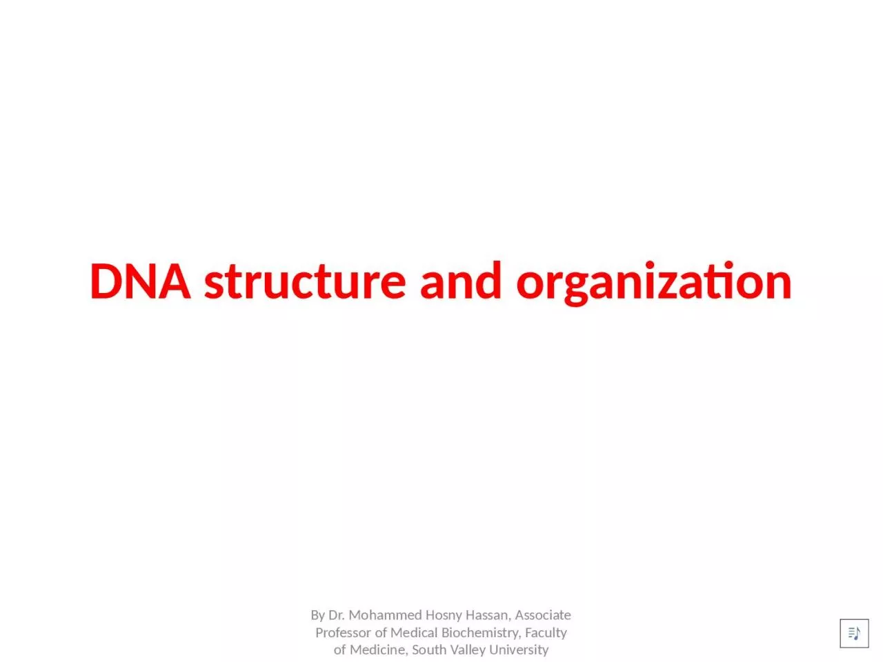 DNA structure and organization