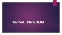 ANIMAL KINGDOM The animal kingdom is one of the kingdoms among the Five-Kingdom Scheme of classific