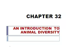 CHAPTER 32 AN INTRODUCTION TO ANIMAL DIVERSITY