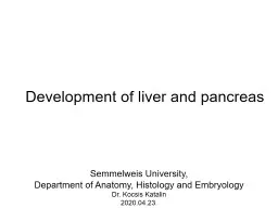 Development  of  liver  and