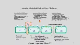 Activation of Endothelial