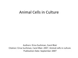 Animal Cells in Culture Authors: Erica