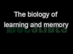 The biology of learning and memory
