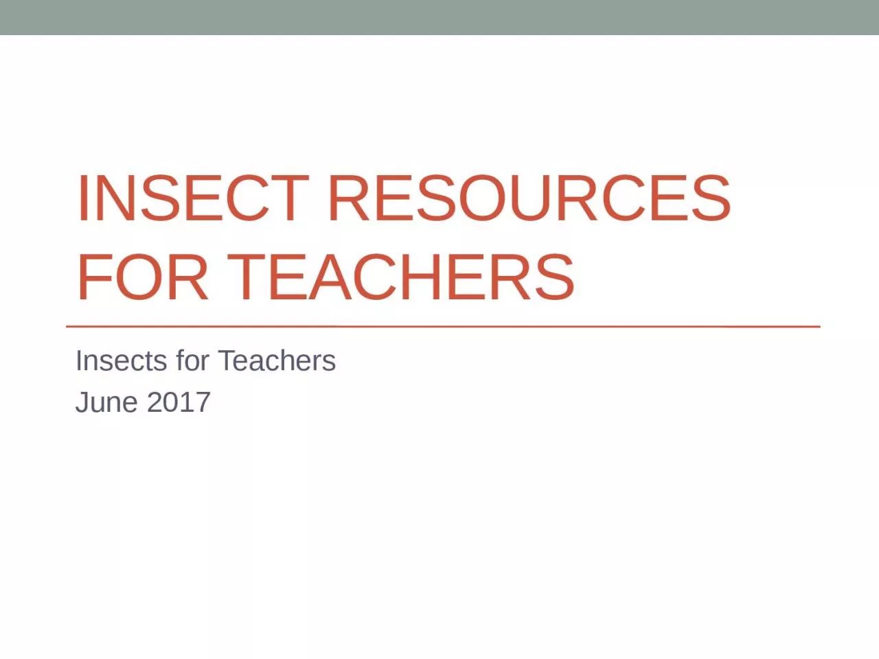 Insect Resources for Teachers