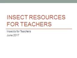 Insect Resources for Teachers