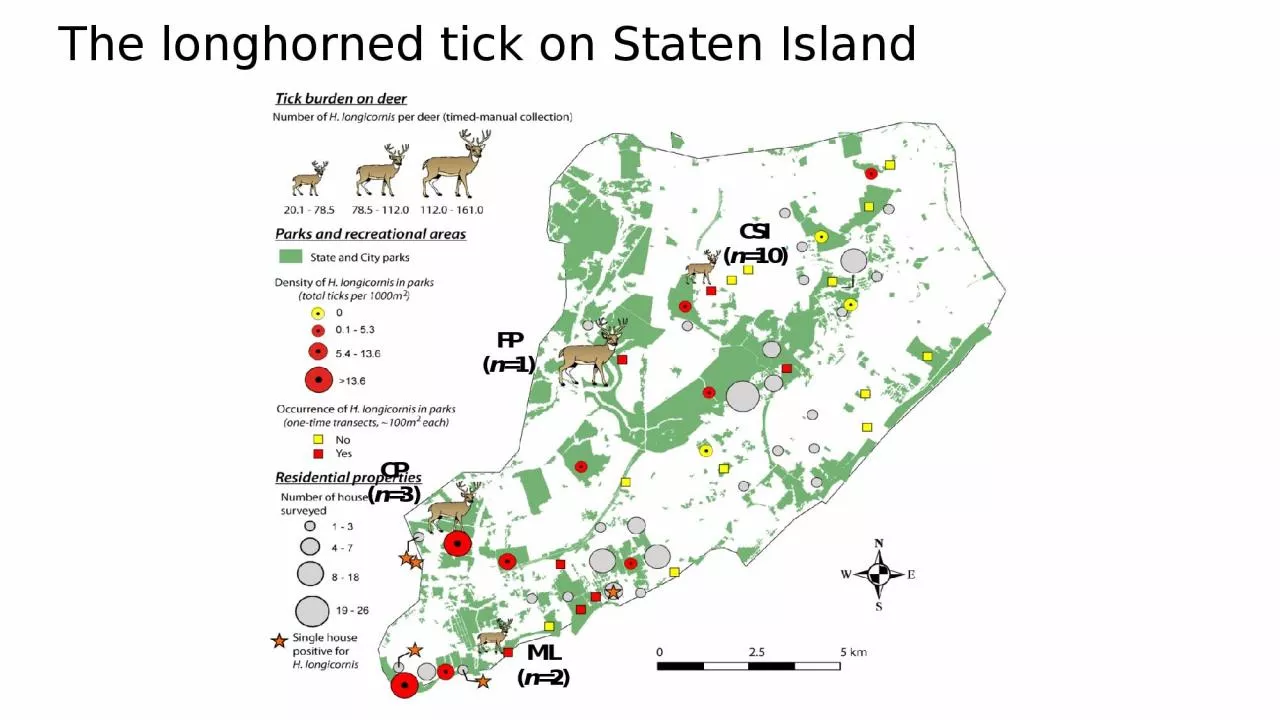 The  longhorned  tick on Staten Island