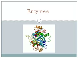 Enzymes Chemical  Reactions