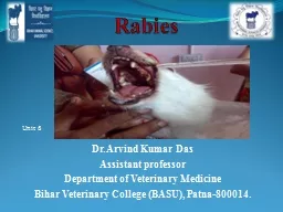 Rabies   Dr. Arvind Kumar Das