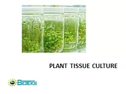 Plant Tissue Culture What is plant