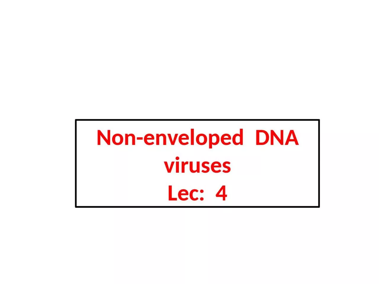 Non-enveloped    DNA viruses