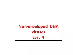 Non-enveloped    DNA viruses