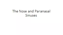 The Nose and Paranasal Sinuses