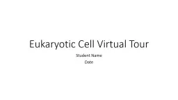 Eukaryotic Cell Virtual Tour