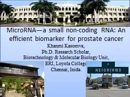 MicroRNA—a  small non-coding RNA: An efficient biomarker for prostate