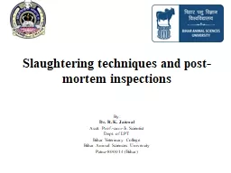 Slaughtering techniques and post-mortem inspections