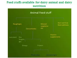 Feed stuffs available for dairy animal and dairy nutrition
