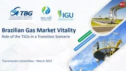 Brazilian Gas Market Vitality