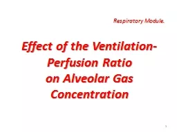 Respiratory Module. Effect of the Ventilation-Perfusion Ratio