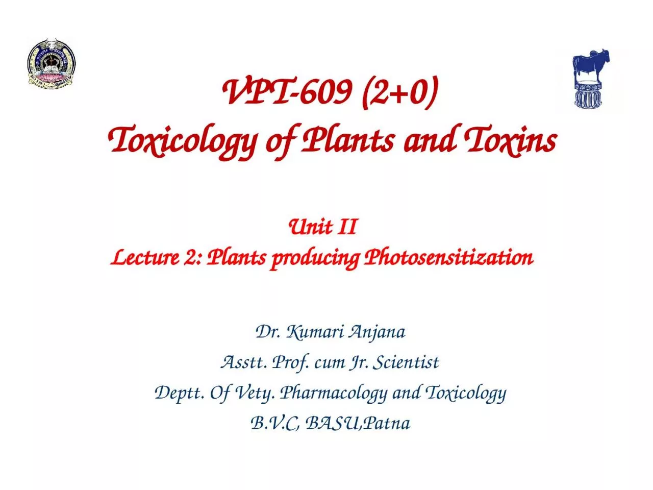 Unit  II Lecture  2:  Plants