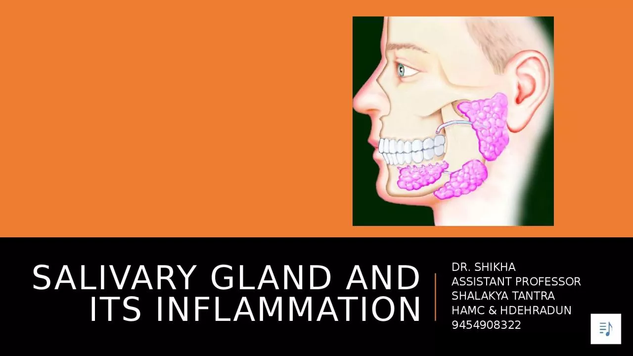 Salivary gland and its inflammation
