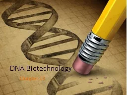 DNA Biotechnology Chapter 13