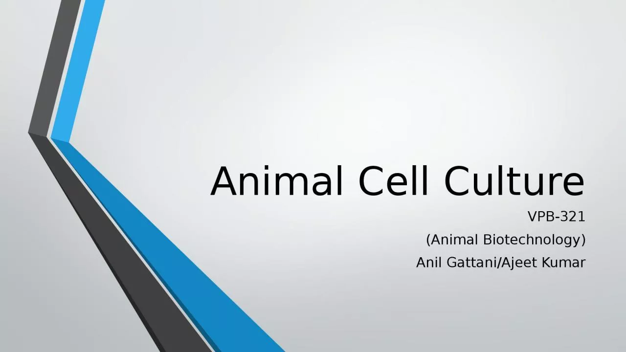 Animal Cell Culture VPB-321