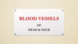 BLOOD VESSELS  OF HEAD & NECK