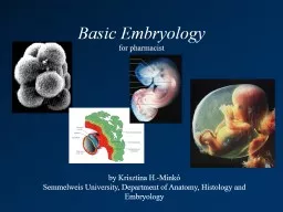 Basic Embryology for pharmacist