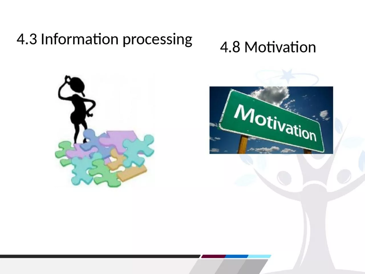 4.3 Information processing