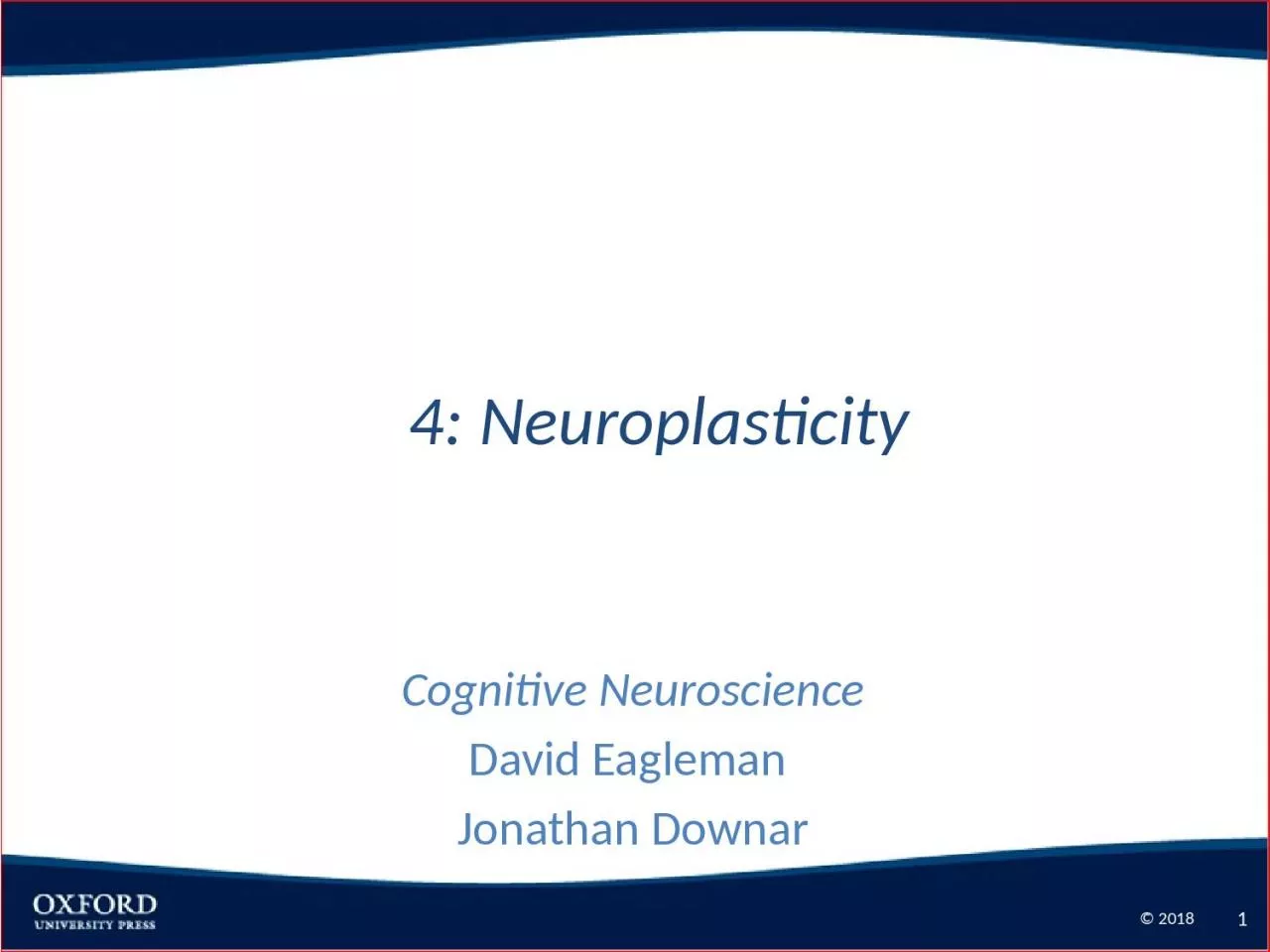4: Neuroplasticity Cognitive Neuroscience