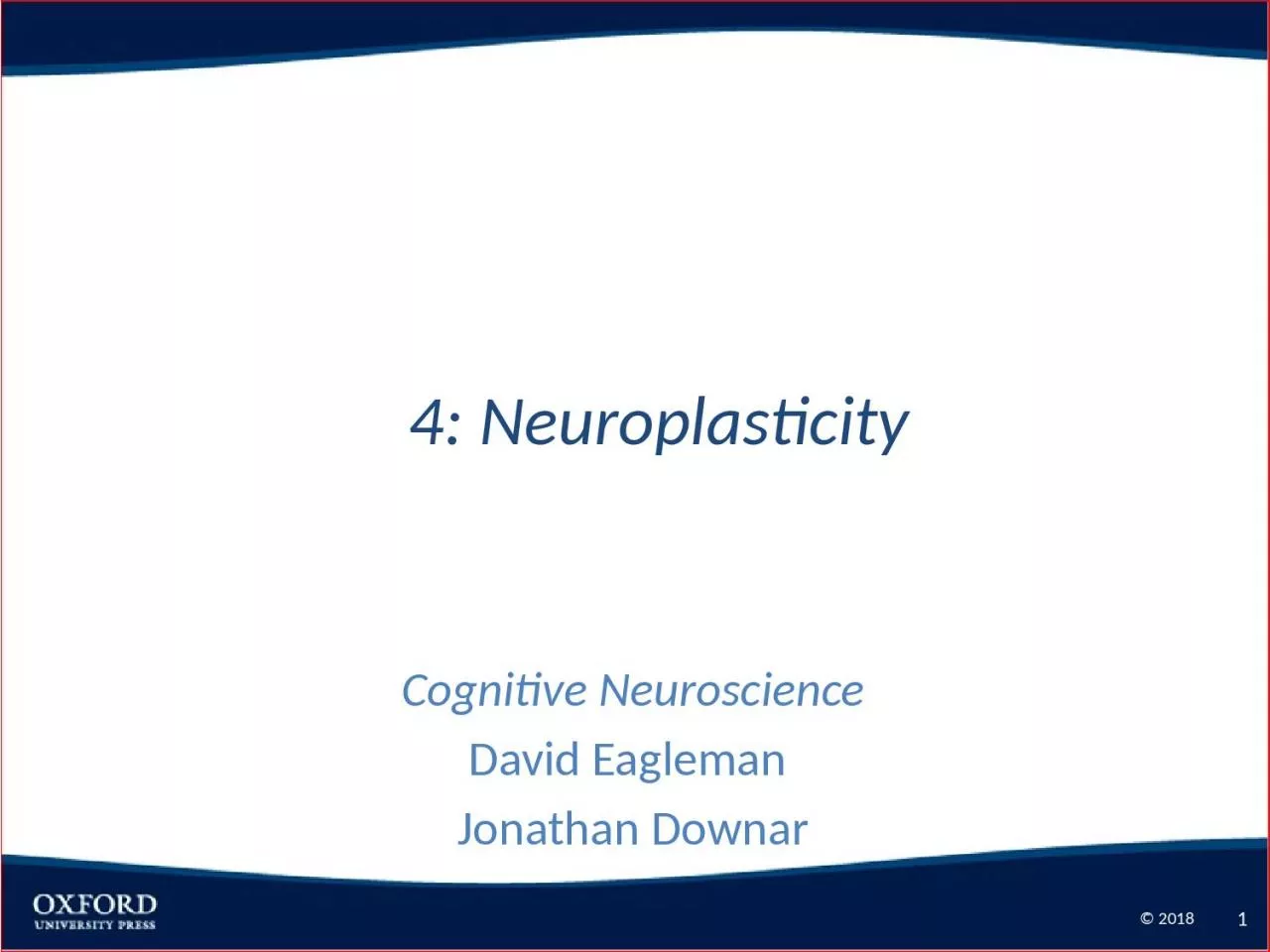 PPT-4: Neuroplasticity Cognitive Neuroscience